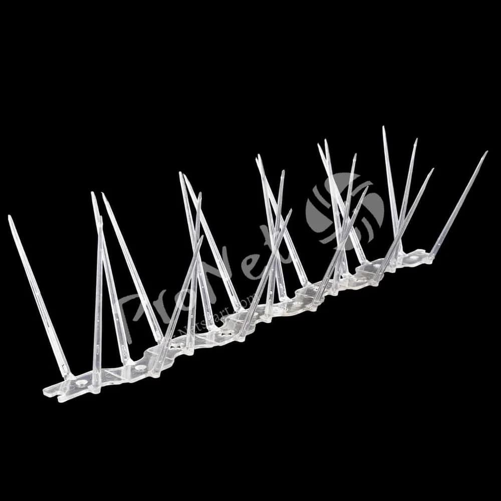 Angled view of ProNet transparent 2 row bird spikes for preventing pigeons from landing on building surfaces