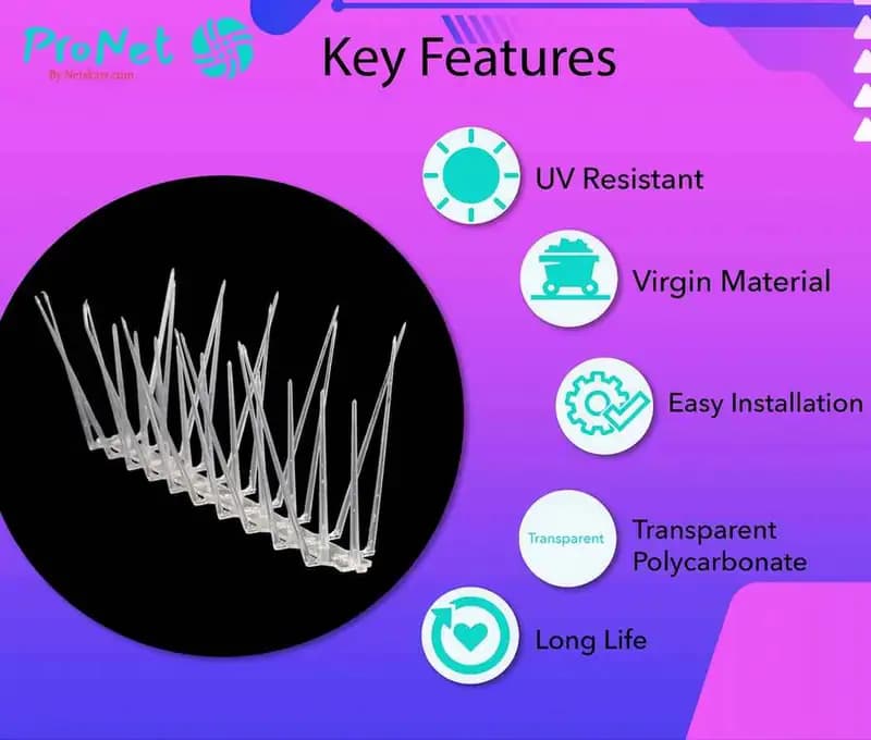 ProNet 3 row bird spikes key features image showing transparent polycarbonate pigeon-control spike design