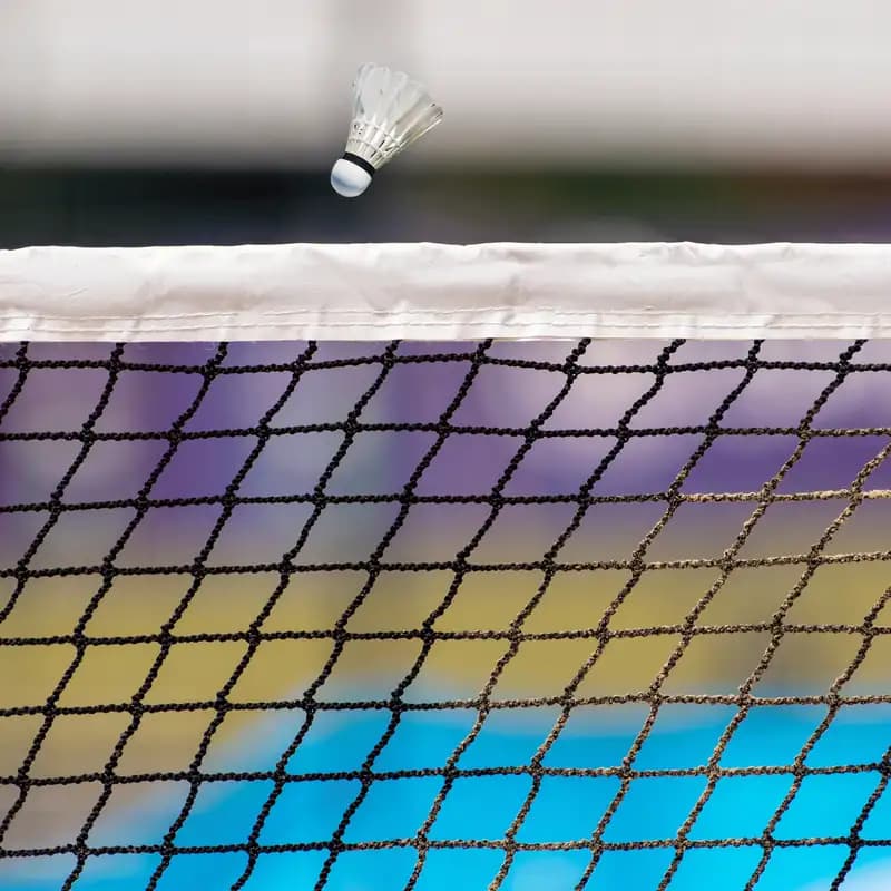 Close-up of Garware Sportiva Badminton Net showing mesh and top band on court setup