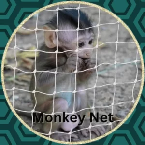 Monkey Net