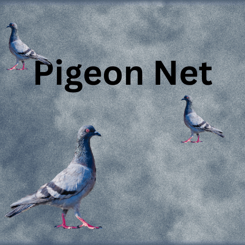 Pigeon Nets