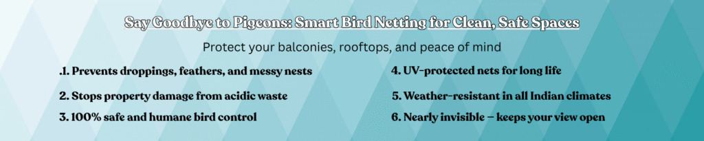 Bird Net